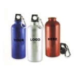 Voyager Aluminum Water Bottle with Carabiner
