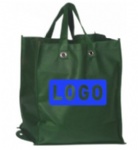 Eco-Green Reusable Shopping Bag